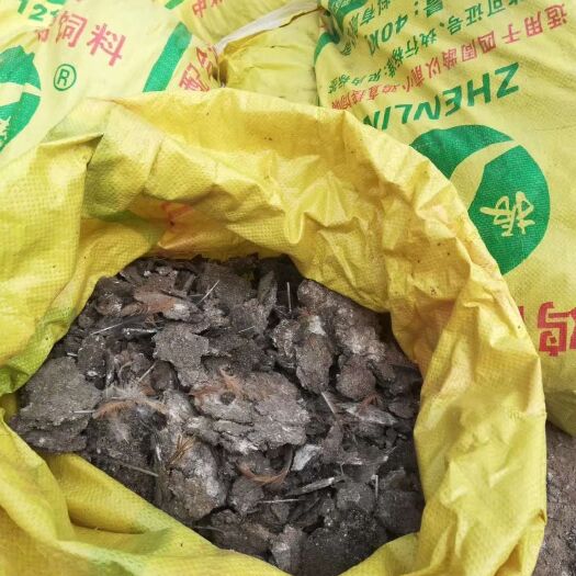博白县鸡粪
