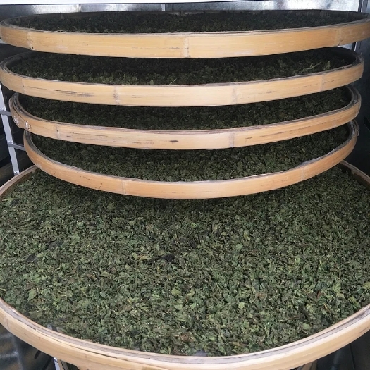 淄博 纯手工绿色天热无污染霜桑叶茶，清肠道