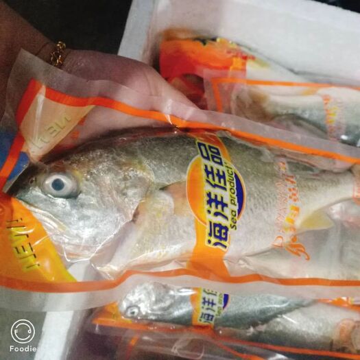 霞浦县 福建霞浦大黄鱼，肉质鲜嫩，老少皆宜。