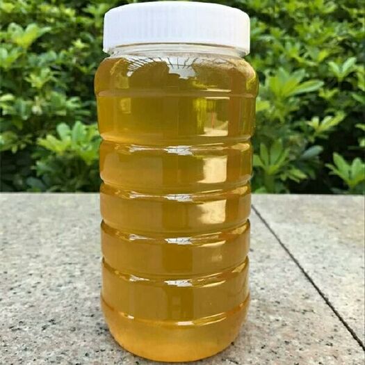 莆田 福建土蜂蜜农家自产野花蜜枇杷蜜荔枝蜜龙眼蜜孕妇均可食用