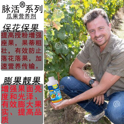 菏泽 叶面肥保花保果膨果靓果氨基酸水溶肥腐植酸水溶肥