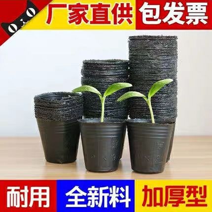 穴盘/育苗盘  营养钵育苗盆种植穴盘塑料营养袋育苗袋一次性花盆营养杯育苗杯大