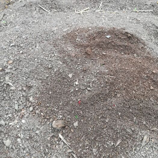 德兴市螯合肥料  风化红岩土，盆景盆栽用土，