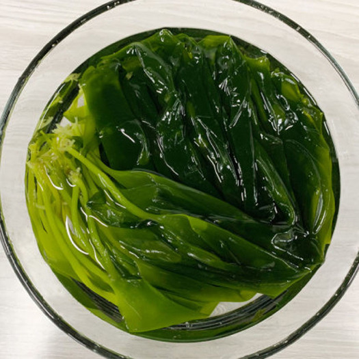 海帶芽 海帶苗鹽漬海帶苗500g/包 支持一件代發(fā)