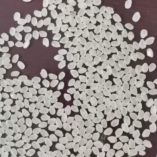 庆安县粳稻谷 出售700吨小粒香稻