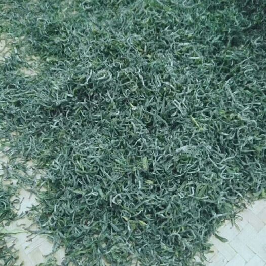 太湖县舒城小兰花  农家绿茶春茶