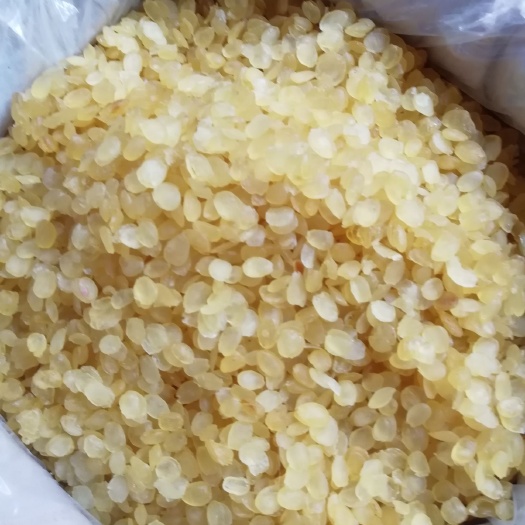 大皂角籽 皂角米