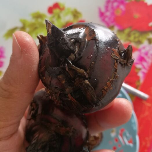 无为市 马蹄，荸荠