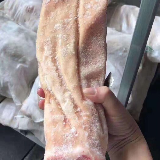 鱼肚 纯干单冻鲨