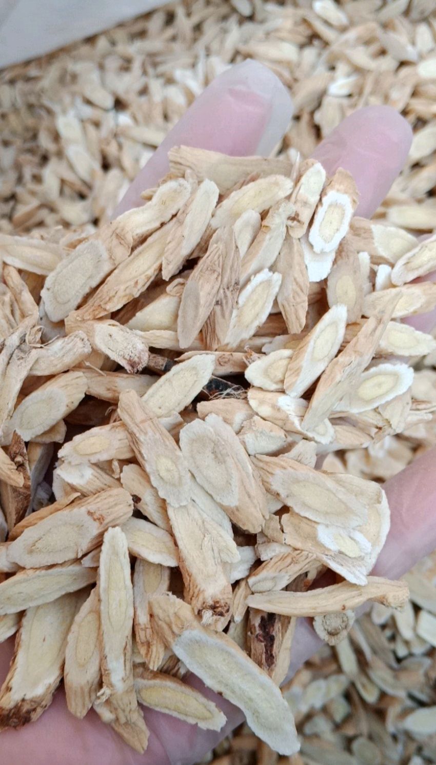 黄芪甘肃瓜子片黄芪泡茶煲汤黄芪茶