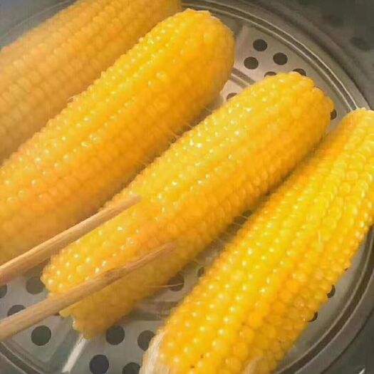 辉南县速冻糯玉米 1个月