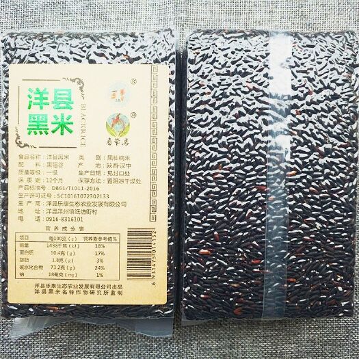 洋县陕西汉中洋县2023新黑米 特产农家自产天然五谷杂粮黑米
