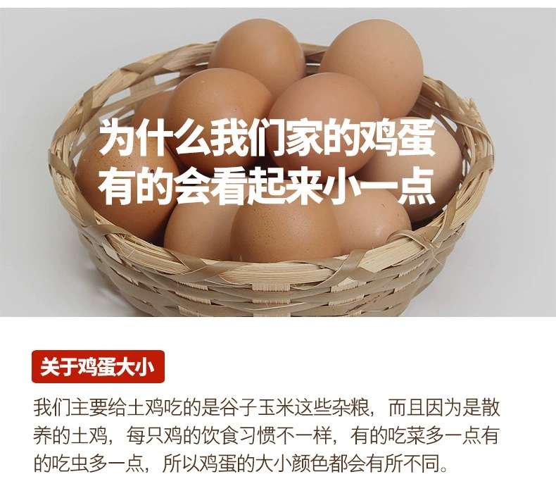  【现捡现发】正宗农家散养土鸡蛋新鲜草鸡蛋笨鸡蛋柴鸡蛋批发整