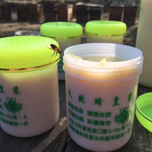 南漳县 蜂王浆，鲜浆
