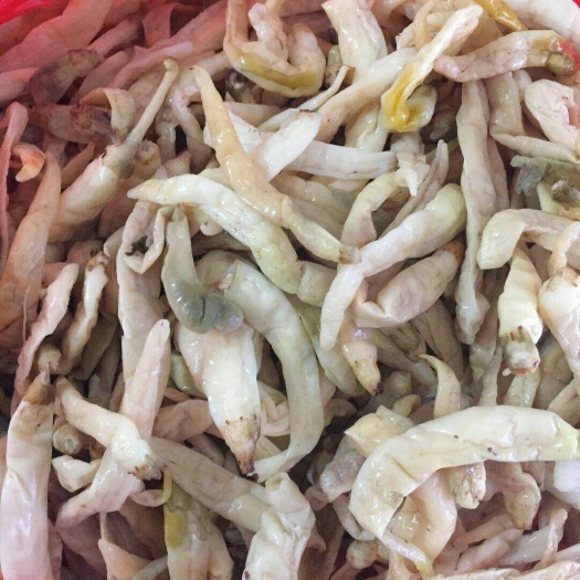 益阳白辣椒