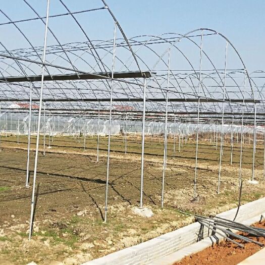 无锡 大棚管材料批发设计建造售后服务