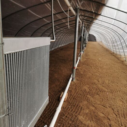 泰安养殖大棚 大棚养殖 大棚种植加温工程安装，加温设备全套供应，上门安装