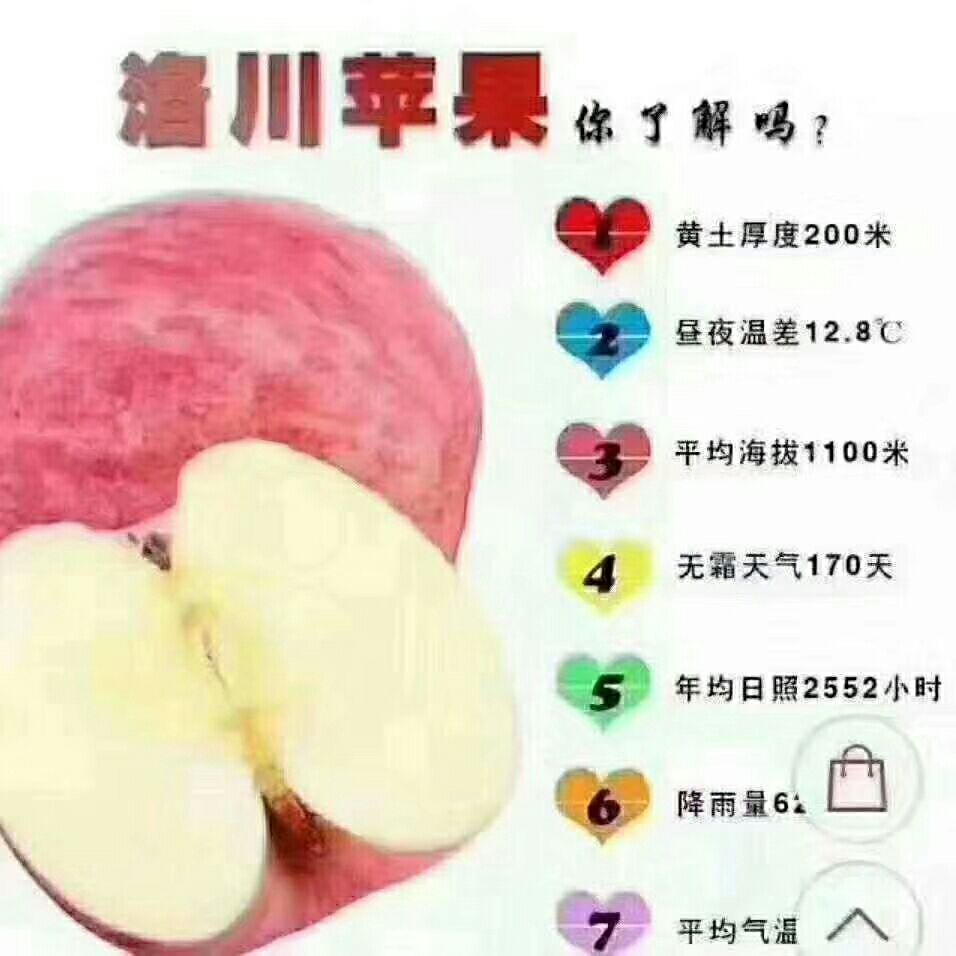 冰糖心苹果 正中陕西洛川冰糖心红富士甜的能甜到心里头