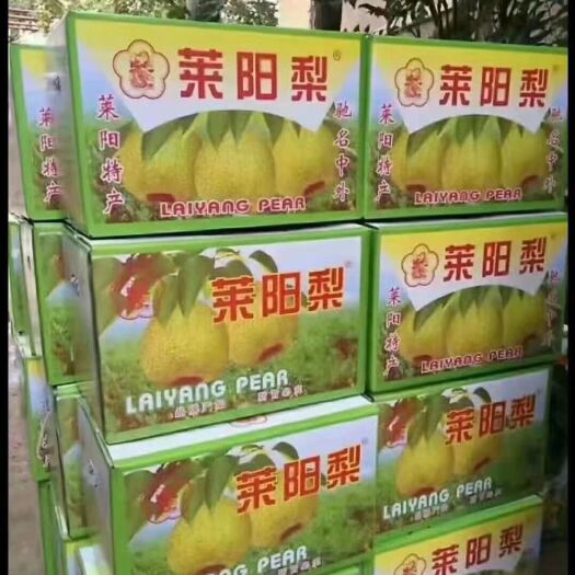 莱阳市正中莱阳梨