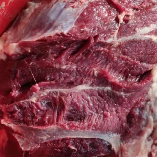 宁津县 带皮鲜驴肉，现杀现发，肉质细腻