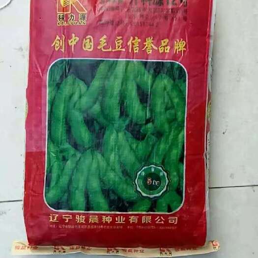 邳州市绿宝石毛豆 春夏两季豆种