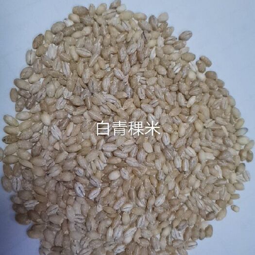 北票市青稞米  青稞