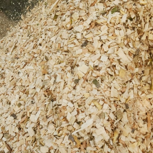 兴平市菌棒（不含菌种） 陕西周边需要杂木锯末，果木木屑香菇料木耳料都有大量出售