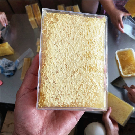 句容市 蜂巢蜜纯正天然农家自产老巢蜜土蜂窝蜜巢嚼着吃蜂蜜块盒装槽