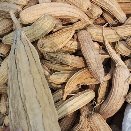 桂林 大量供应优质丝瓜壳