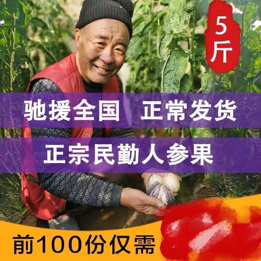 民勤县精品人参果，大批量供应，自家基地，绿色有机，可代办找车。