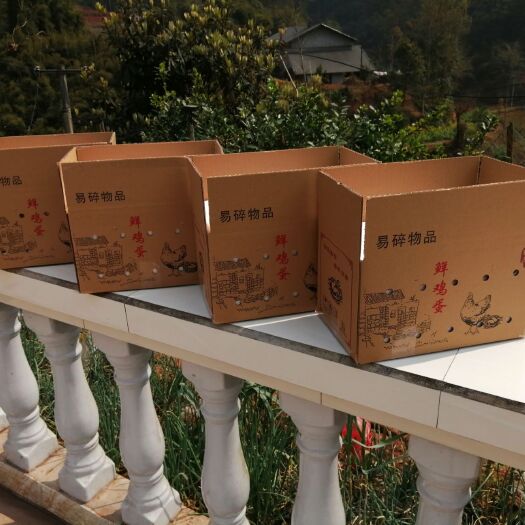 犍为县 农村散养土鸡蛋