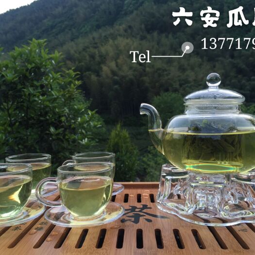 金寨县 六安瓜片