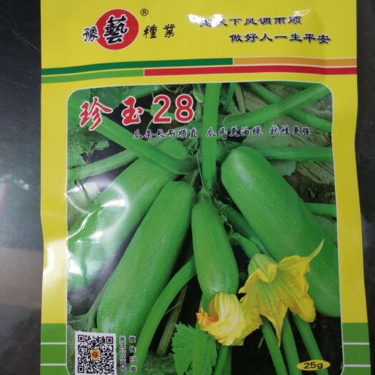 郑州绿皮西葫芦种子 豫艺珍玉28瓜条长而顺直 瓜色更油绿 抗性更强