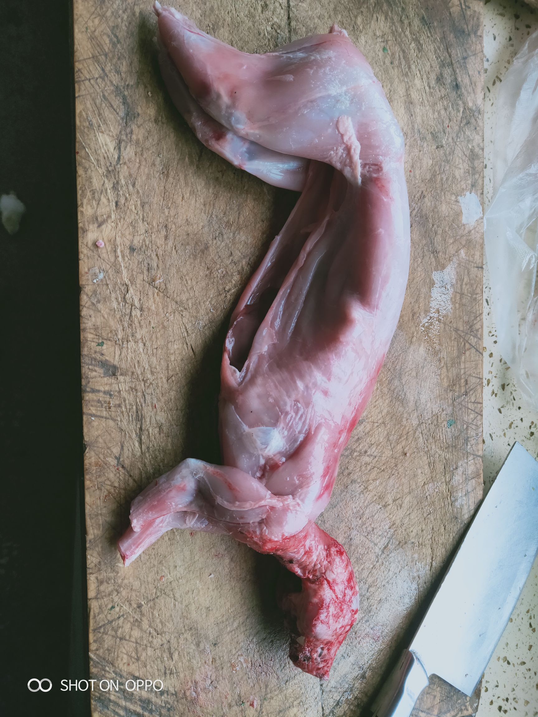 兔肉类  鲜兔肉