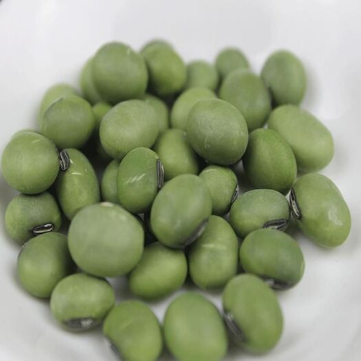 濮阳青黄豆 2019年自家农场种植单青豆大青豆豆浆