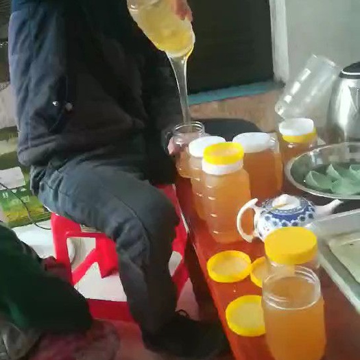 连山县土蜂蜜 鸭脚木土蜜蜂现在有货啊