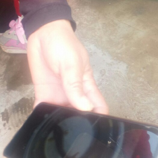 兴仁市 鲤鱼苗。(各种鱼苗，品种纯，长势快，成活率高，抗病力强)