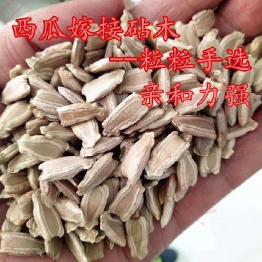 邵阳 嫁接西瓜甜瓜专用葫芦籽砧木根系好抗病耐寒亲和性强葫芦种子包