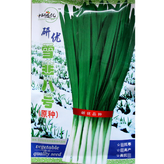 南靖县中研盛优 雪韭八号韭菜种子大白根韭菜种子汉中巨丰雪韭菜