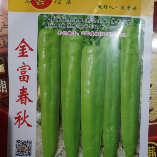 郑州羊角椒种子 豫艺金富春秋早熟黄皮柱形紧凑果行紧凑春秋大棚表现最好品种