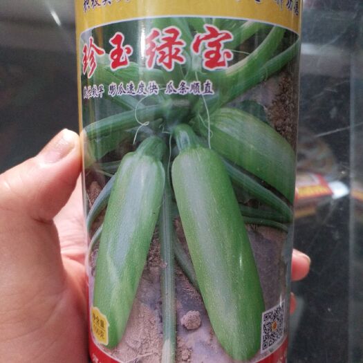郑州绿皮西葫芦种子 珍玉绿宝熟性早棚瓜快瓜条顺直高产油亮绿