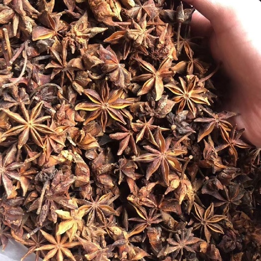 玉林广西大红八角全干无硫干枝八角 食用粮油米面香辛料批发