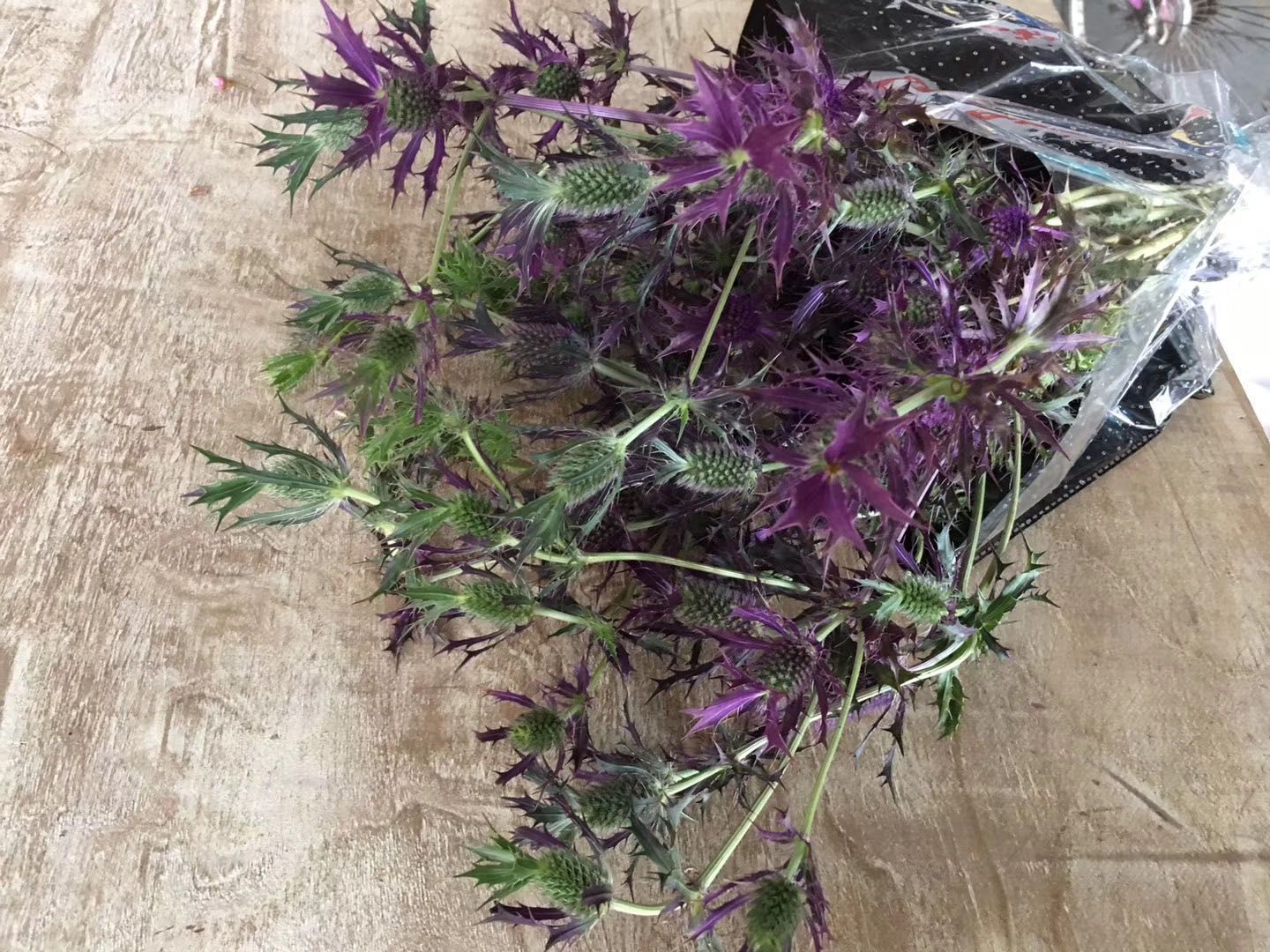 月季切花 紫光 大刺芹 鲜花  配花配草