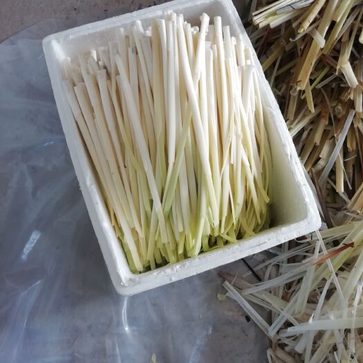 扬州蒲菜 已上市的好菜
