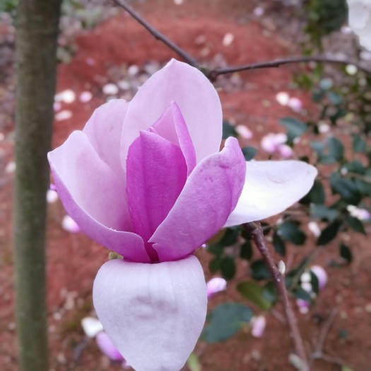 都昌县包装工