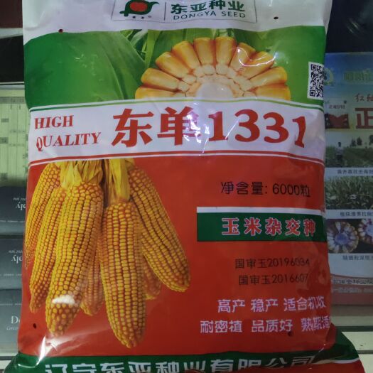 沈阳东单1331玉米种子  6000粒
