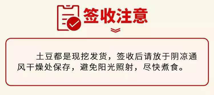 新鲜现挖云南高原马铃薯小土豆批发红皮黄心应季蔬菜5/10斤