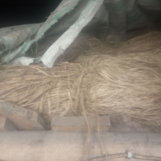 达州苎麻 农户自产自销原麻