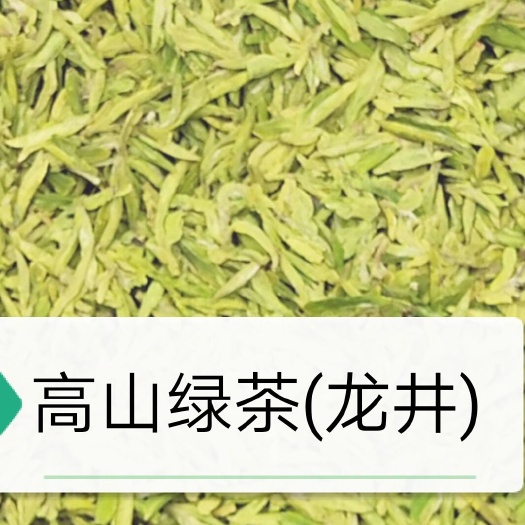 缙云县龙井茶  高山绿茶