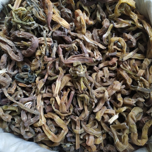 干刺竹笋